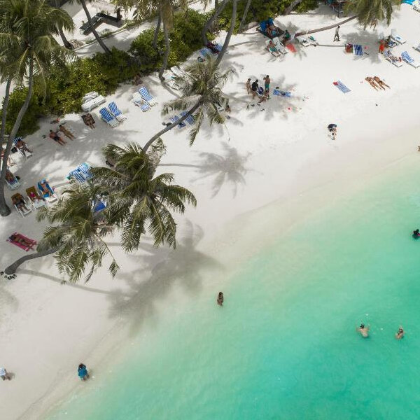 Tropical Beach Retreat.jpg